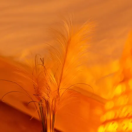 Terracotta Carrières-sous-Poissy